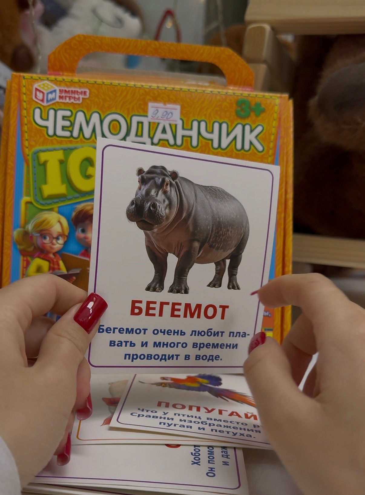 IQ чемоданчик «Животные»