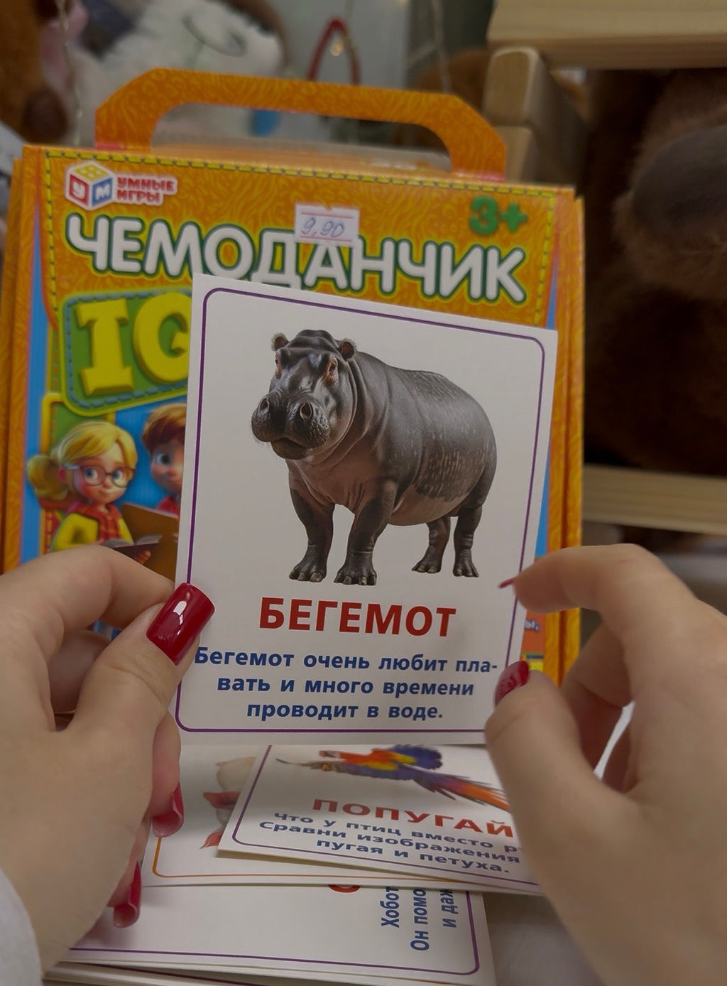 IQ чемоданчик «Животные»
